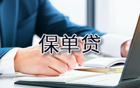 德州保单贷