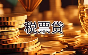 德州税票贷